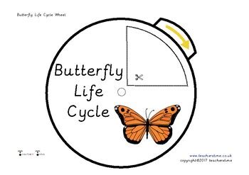 Butterfly Life Cycle Wheel Spin by Teachers' Time Store | TpT