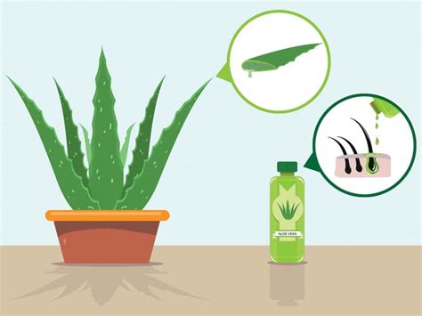 15 Serious Aloe Vera Side Effects You Should Be Aware Of