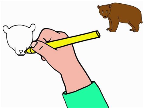 Apprendre à dessiner un ours en 3 étapes