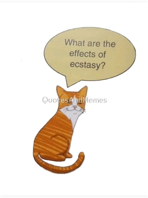 "High cat meme " Poster for Sale by QuotesAndMemes | Redbubble