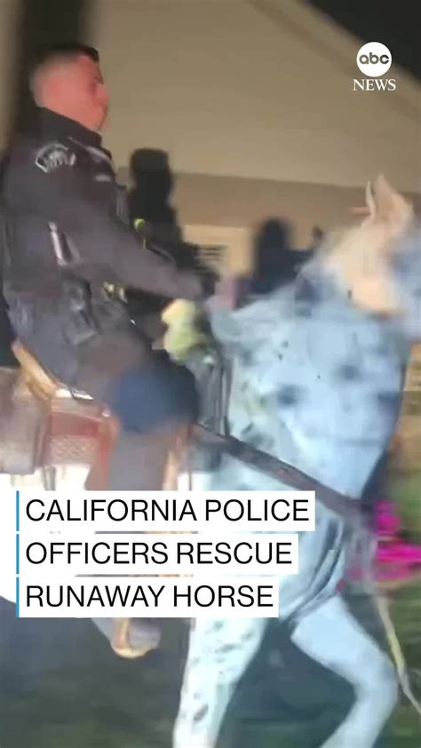 Abc Newsさんのインスタグラム動画 Abc Newsinstagram 「a Police Officer In Burbank California Utilized His