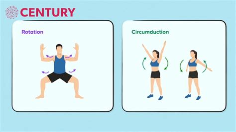 Types of Joints and their Movements | PE - YouTube