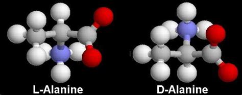 isomer-alanine.html 04_isomer-alanine.jpg