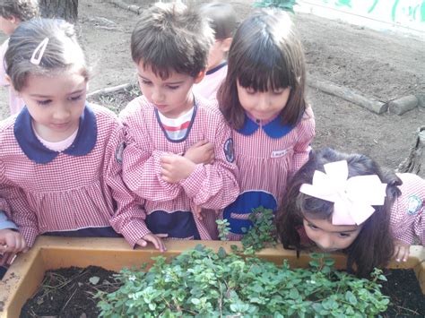 Jardim Escola João de Deus Albarraque O Bibe Encarnado foi visitar a horta