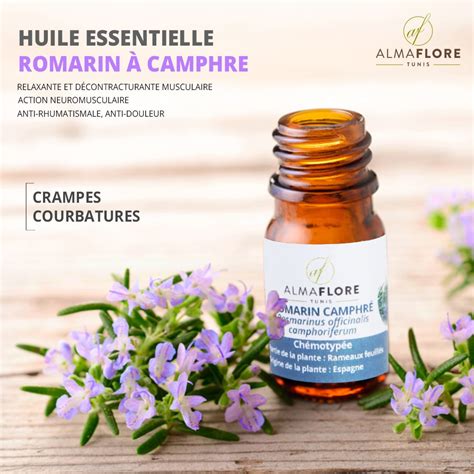 ALMAFLORE Huile Essentielle Romarin Camphre 10ml Curvita