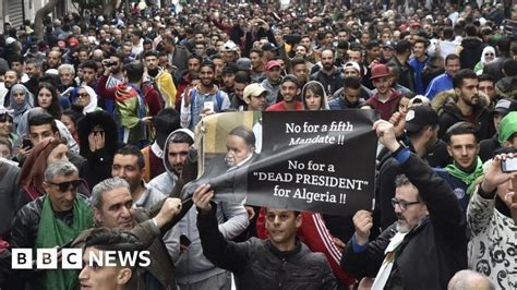 Algerians Gather In Largest Protest Against Bouteflika Bbc News