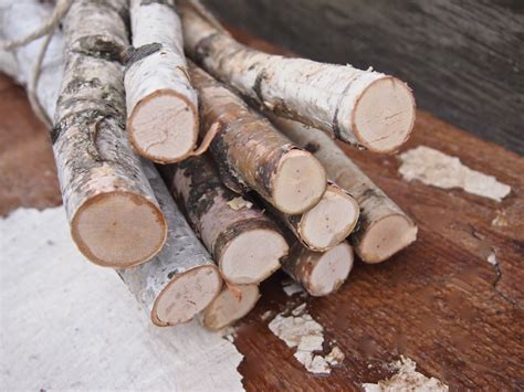 Birch Log Bundle White Birch Branches Birch Wood Sticks Etsy