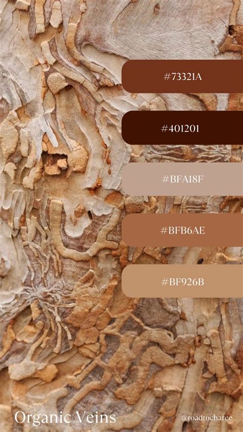 Tan Color Palette Earth Tone Color Palette Orange Color Palettes