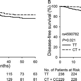 Overall Survival And Disease Free Survival Of Patients With Different