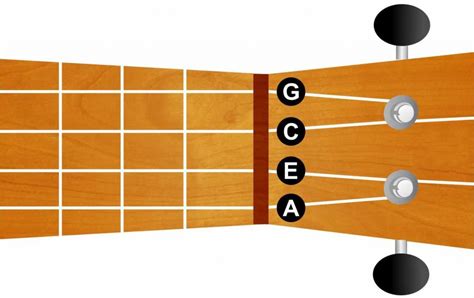 Aprendiendo Acordes En El Ukelele ¿cómo Empezar A Tocar Consejos