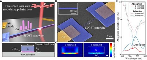 Polarization Selective Switching In A Had Nanowire A Schematic Top