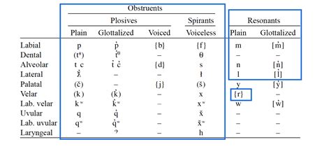 Consonantal Inlp Linguistic Glossary