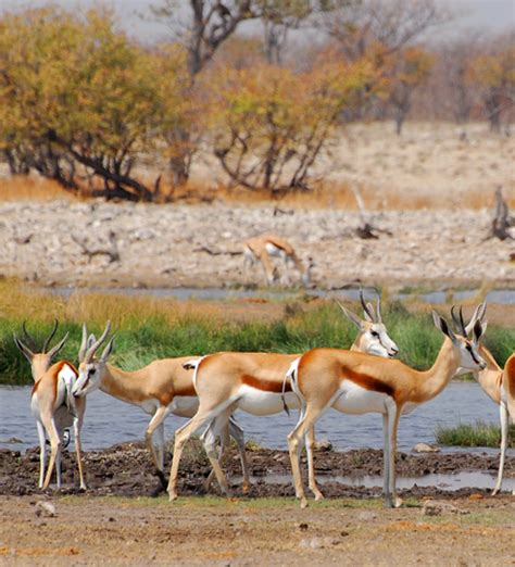 Voyage Namibie Sur Mesure Meltour