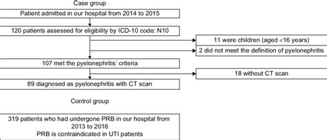 Acute Pyelonephritis Icd 10 Aadenathull