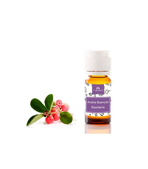 Aceite Esencial Gaulteria Wintergreen Shopmedicalbeauty