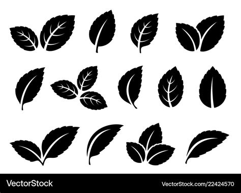 Black Mint Leaves Set Icons On White Royalty Free Vector