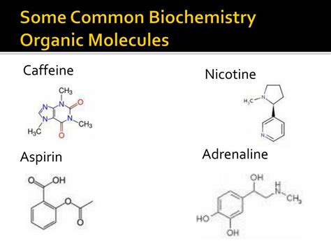 PPT Some Common Biochemistry Organic Molecules PowerPoint