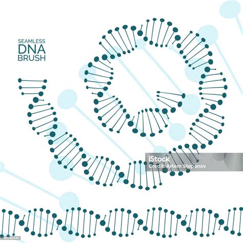 Vetores De Humano Dna Cadeia Genoma Hélice Molécula Sem Costura Linhas