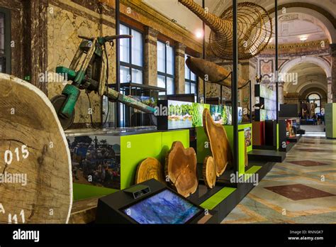 Interior Of The Africamuseum Royal Museum For Central Africa