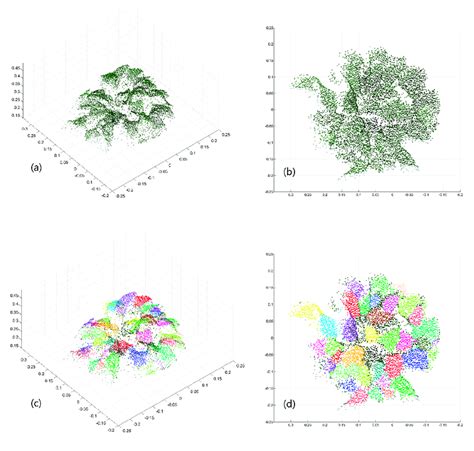 Automatic Leaf Segmentation For The Point Cloud Of The Epipremnum