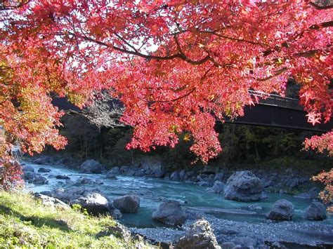 都内でも絶景！“意外と知らない”東京の紅葉スポット25選【2024】 トラベルjp 旅行ガイド