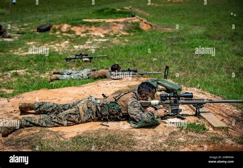 Marines With 3rd Force Reconnaissance Company 4th Marine Division Aim Down Range During Sniper