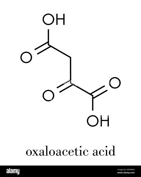 Oxaloacetic Acid Molecule Black And White Stock Photos And Images Alamy