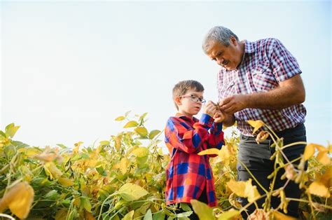 L Agriculture Familiale Grand P Re D Agriculteurs Avec Petit Fils Sur