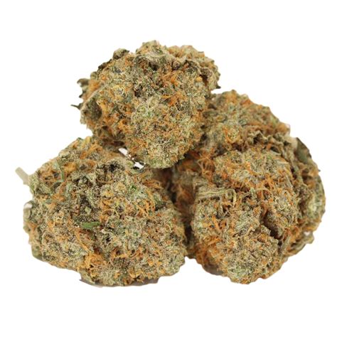 Chocolope Strain Bulk Buddy Weed Online Dispensary Canada