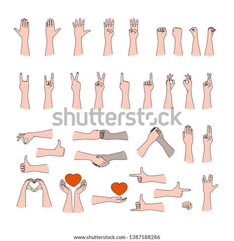 Huge Collection Human Hand Gestures Outline Vector De Stock Libre De