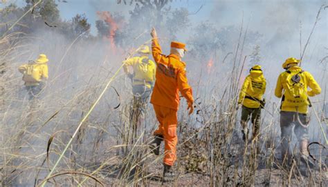 Tocantins cai para 9ª posição no ranking nacional de queimadas no mês