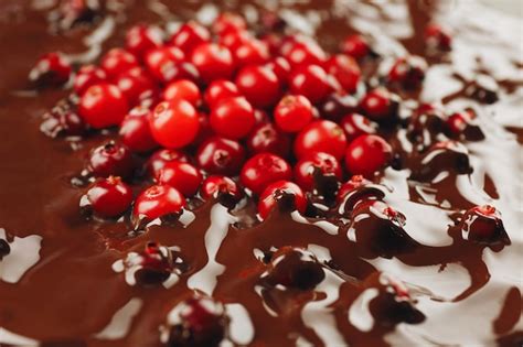 Premium Photo Chocolate Cake With Cranberries Macro View