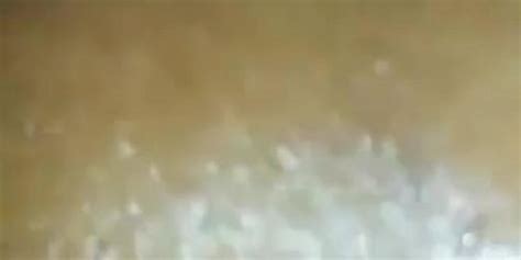 Bbc She Loves Sex Tnaflix