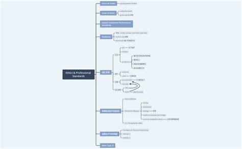 Ethics Professional Standards Jerry Ding Xmind