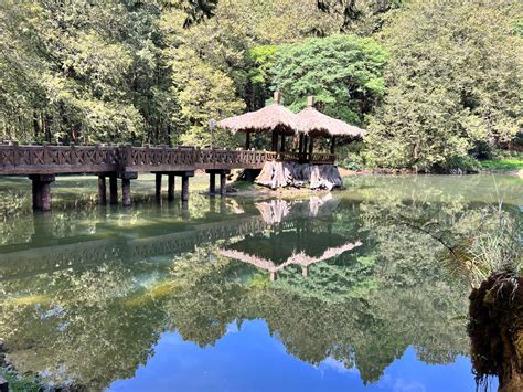 【百年經典森林小火車~限時加贈阿里山遊園車】阿里山二日｜奮起湖and阿里山日出觀景森林小火車｜嘉義出發 Kkday