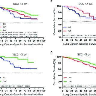 Kaplan Meier Survival Curves Of Lung Cancer Specific Survival For