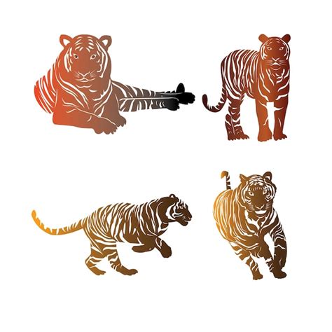 Conjunto plano de tigres en varias poses vector ilustración vector