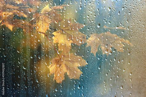 abstract autumn background rain leaves wallpaper park Stock Photo ...