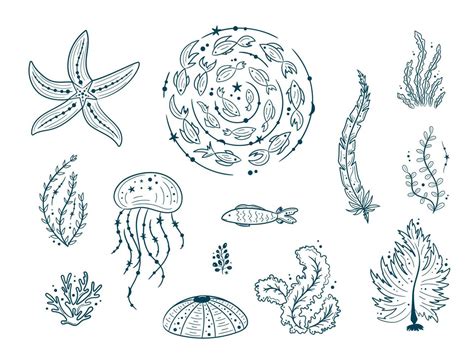 Silhouettes Of Sea Life Outline Isolated On White Background Vector