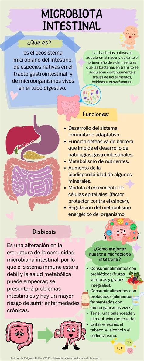 Microbiota Intestinal Consultorio De Nutrici N