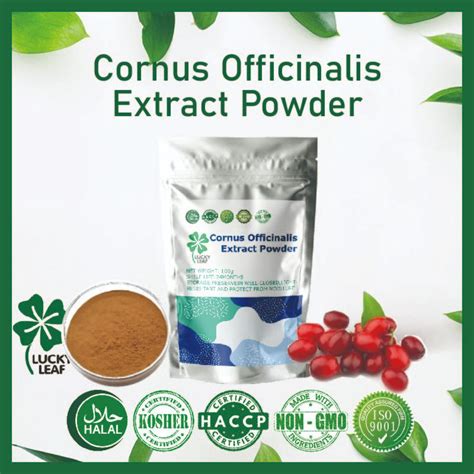 Cornus Officinalis Extract Powder Japanese Cornelian Cherry Anti