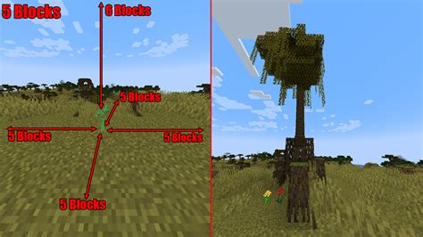 How To Easily Grow Mangrove Trees In Minecraft