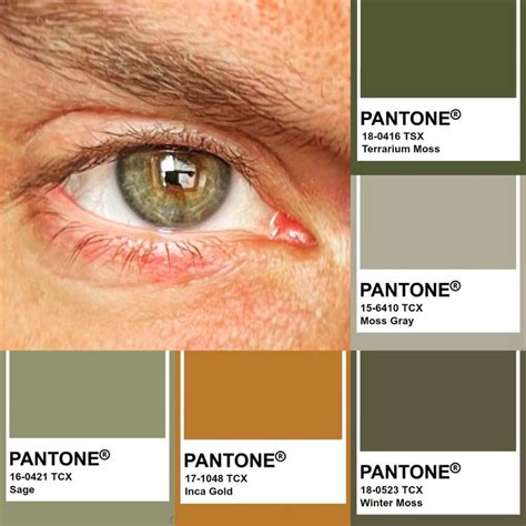 Pantone Hazel Green Eyes | Hazel green eyes, Hazel green, Hazel eyes