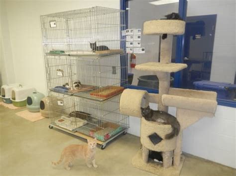 ADAMS COUNTY ANIMAL SHELTER - 24 Reviews - 10705 Fulton St, Brighton ...