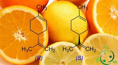 Propiedades Y Usos Del Limoneno Archivi Un Mondo Ecosostenibile