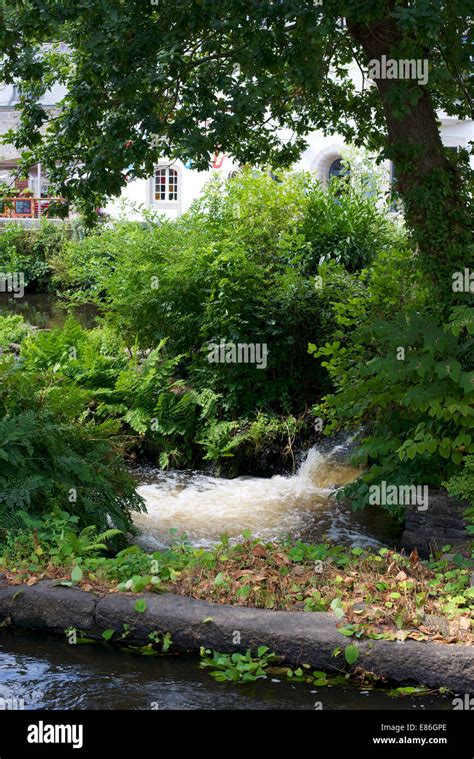 Les Moulins On The River Aven At Place De Paul Gauguin Pont Aven