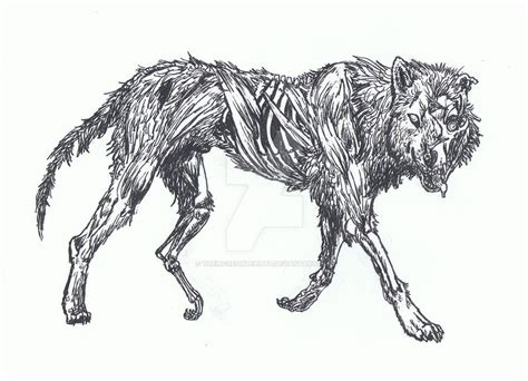 zombie wolf  theincrediblehibby  deviantart