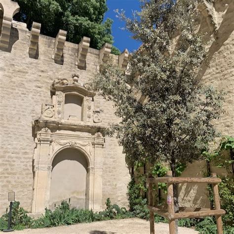 Jardins Du Palais Des Papes Avignon Hortus Focus I Mag