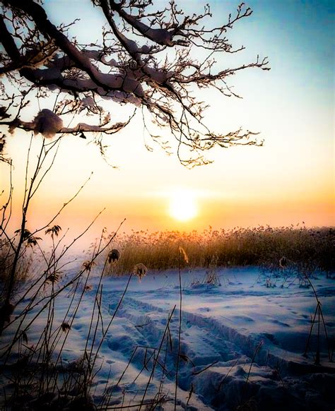 Snowy Morning Sunrise by Mmbseven on DeviantArt