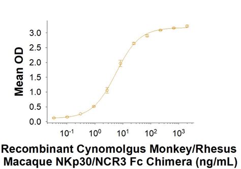 Recombinant Cynomolgus Rhesus NKp30 Fc Chimera Protein CF 10947 NK 050